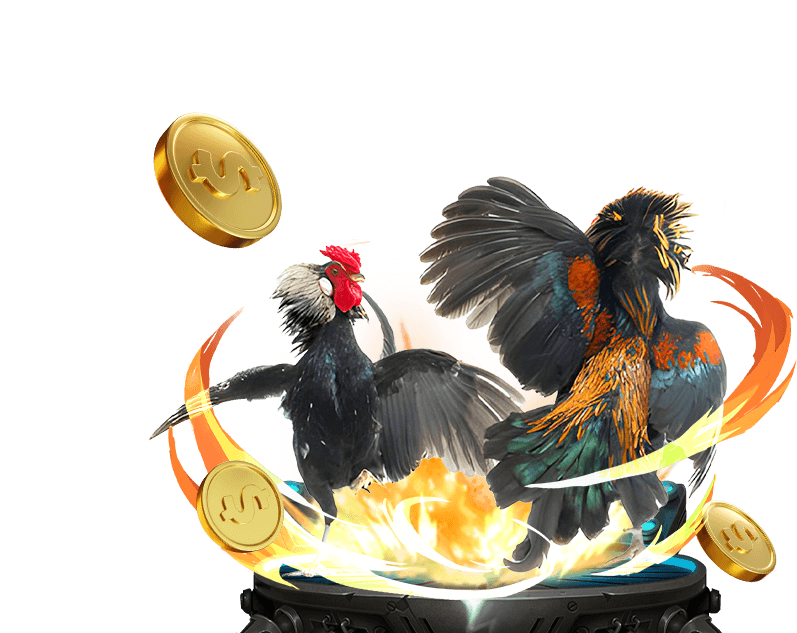 Đá gà Peru và Mỹ trực tuyến