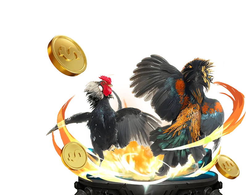 Đá gà Peru và Mỹ trực tuyến